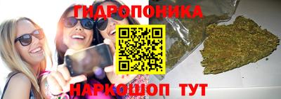 хмурый Пенза